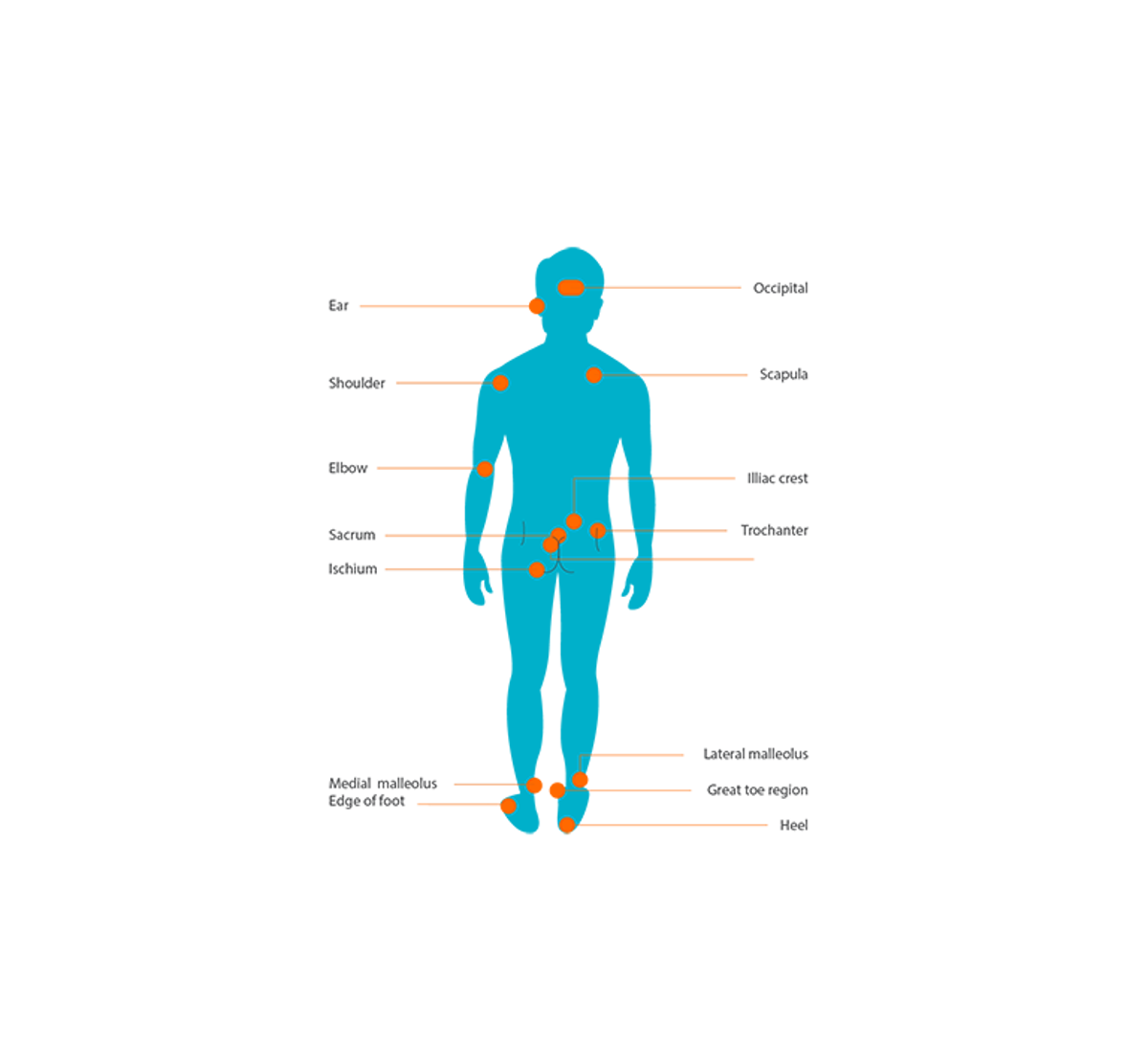 Where do pressure injuries form?